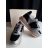 LIU•JO Női Sneaker -Maxi Wonder-Black